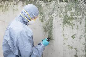 Best Mold Remediation for Healthcare Facilities  in Christmas, FL